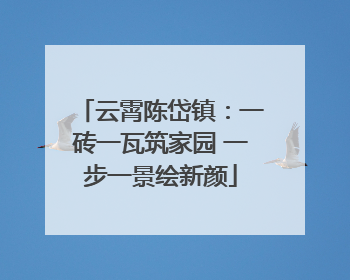 云霄陈岱镇：一砖一瓦筑家园 一步一景绘新颜