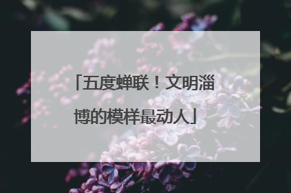 五度蝉联！文明淄博的模样最动人
