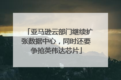 亚马逊云部门继续扩张数据中心，同时还要争抢英伟达芯片