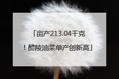 亩产213.04千克！醴陵油菜单产创新高