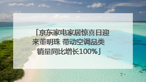 京东家电家居惊喜日迎来董明珠 带动空调品类销量同比增长100%