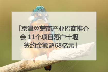 京津冀楚商产业招商推介会 11个项目落户十堰 签约金额超68亿元