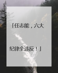 任志能，六大纪律全违反！