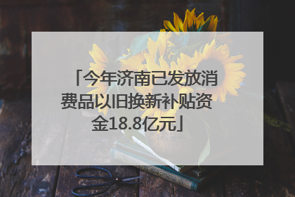 今年济南已发放消费品以旧换新补贴资金18.8亿元