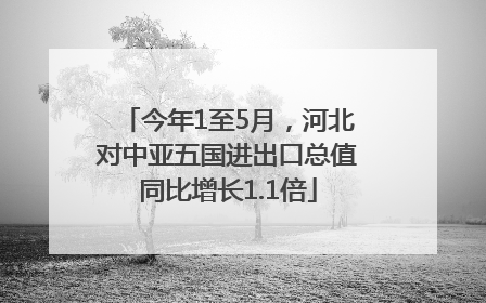今年1至5月，河北对中亚五国进出口总值同比增长1.1倍