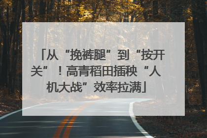 从“挽裤腿”到“按开关”！高青稻田插秧“人机大战”效率拉满