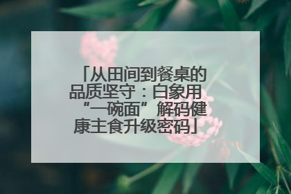 从田间到餐桌的品质坚守：白象用“一碗面”解码健康主食升级密码