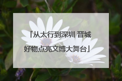 从太行到深圳 晋城好物点亮文博大舞台