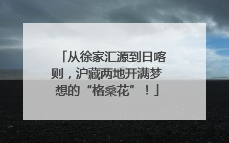 从徐家汇源到日喀则，沪藏两地开满梦想的“格桑花”！