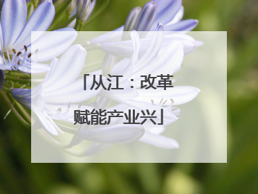 从江：改革赋能产业兴