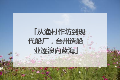 从渔村作坊到现代船厂，台州造船业逐浪向蓝海