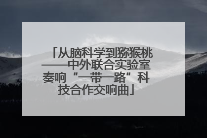 从脑科学到猕猴桃——中外联合实验室奏响“一带一路”科技合作交响曲