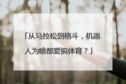 从马拉松到格斗，机器人为啥都爱搞体育？