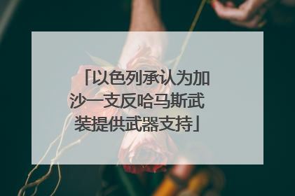 以色列承认为加沙一支反哈马斯武装提供武器支持