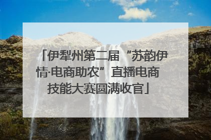 伊犁州第二届“苏韵伊情·电商助农”直播电商技能大赛圆满收官