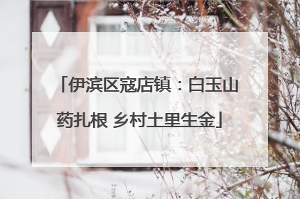 伊滨区寇店镇：白玉山药扎根 乡村土里生金