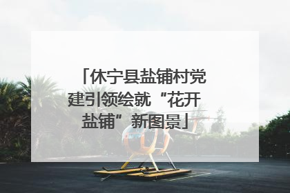 休宁县盐铺村党建引领绘就“花开盐铺”新图景