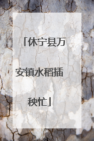 休宁县万安镇水稻插秧忙