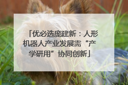 优必选庞建新：人形机器人产业发展需“产学研用”协同创新