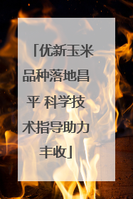 优新玉米品种落地昌平 科学技术指导助力丰收