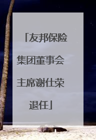 友邦保险集团董事会主席谢仕荣退任