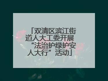 双清区滨江街道人大工委开展“法治护绿护安人大行”活动