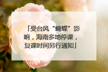 受台风“蝴蝶”影响，海南多地停课，复课时间另行通知