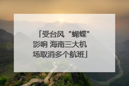 受台风“蝴蝶”影响 海南三大机场取消多个航班