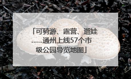 可骑游、露营、遛娃……通州上线57个市级公园导览地图