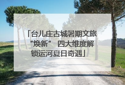 台儿庄古城暑期文旅“焕新” 四大维度解锁运河夏日奇遇