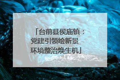 台前县侯庙镇：党建引领绘新景 环境整治焕生机
