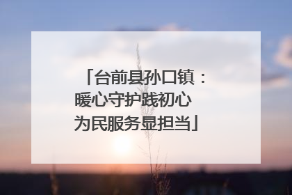 台前县孙口镇：暖心守护践初心 为民服务显担当