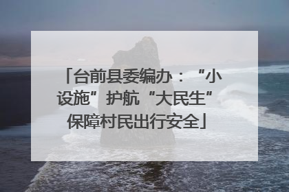 台前县委编办：“小设施”护航“大民生” 保障村民出行安全