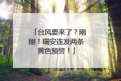 台风要来了？刚刚！瑞安连发两条黄色预警！