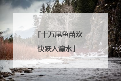 十万尾鱼苗欢快跃入湟水