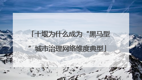 十堰为什么成为“黑马型”城市治理网络维度典型
