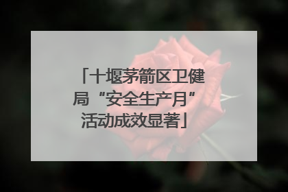 十堰茅箭区卫健局“安全生产月”活动成效显著
