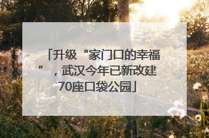 升级“家门口的幸福”，武汉今年已新改建70座口袋公园