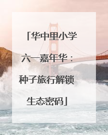 华中里小学六一嘉年华：种子旅行解锁生态密码