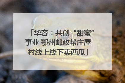 华容：共创“甜蜜”事业 鄂州邮政帮庄屋村线上线下卖西瓜