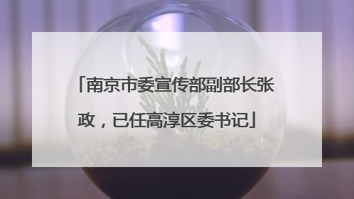 南京市委宣传部副部长张政，已任高淳区委书记