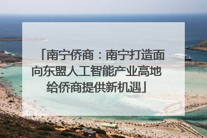 南宁侨商：南宁打造面向东盟人工智能产业高地给侨商提供新机遇