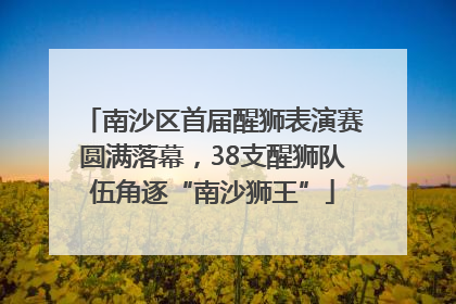 南沙区首届醒狮表演赛圆满落幕，38支醒狮队伍角逐“南沙狮王”