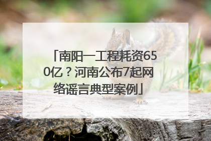 南阳一工程耗资650亿？河南公布7起网络谣言典型案例