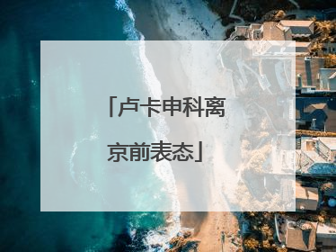 卢卡申科离京前表态