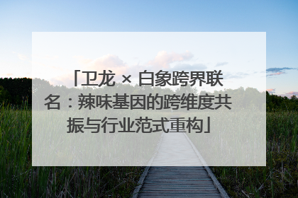 卫龙 × 白象跨界联名：辣味基因的跨维度共振与行业范式重构