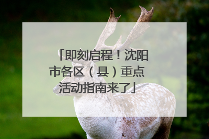 即刻启程！沈阳市各区（县）重点活动指南来了