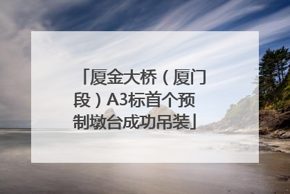 厦金大桥（厦门段）A3标首个预制墩台成功吊装