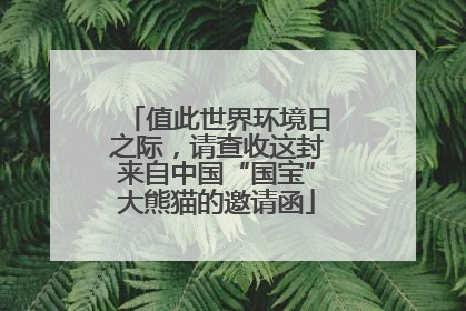 值此世界环境日之际，请查收这封来自中国“国宝”大熊猫的邀请函