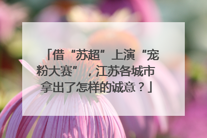 借“苏超”上演“宠粉大赛”，江苏各城市拿出了怎样的诚意？
